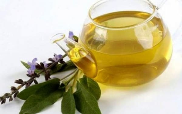 تصویر 4 از پونه خشک اعلا ارگانیک خرید